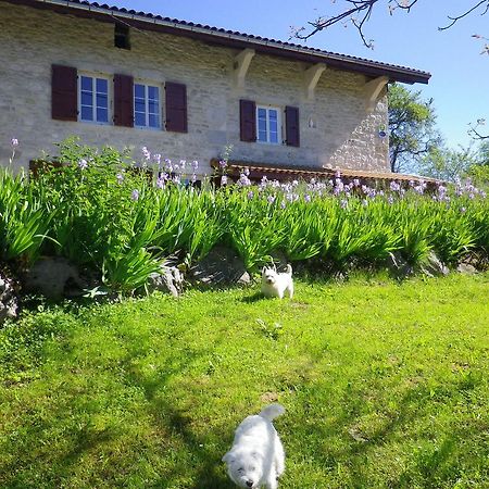 Chambre D'Hotes La Haie Fleurie Chevillard Luaran gambar